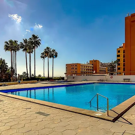 Monkey 210vin16 Playa de las Americas (Tenerife)